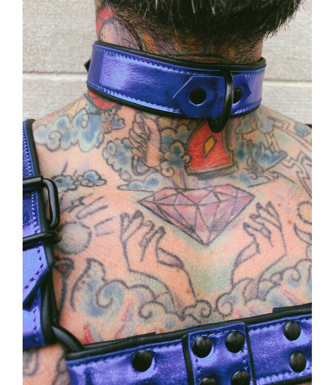 Bright Room Leather Collar