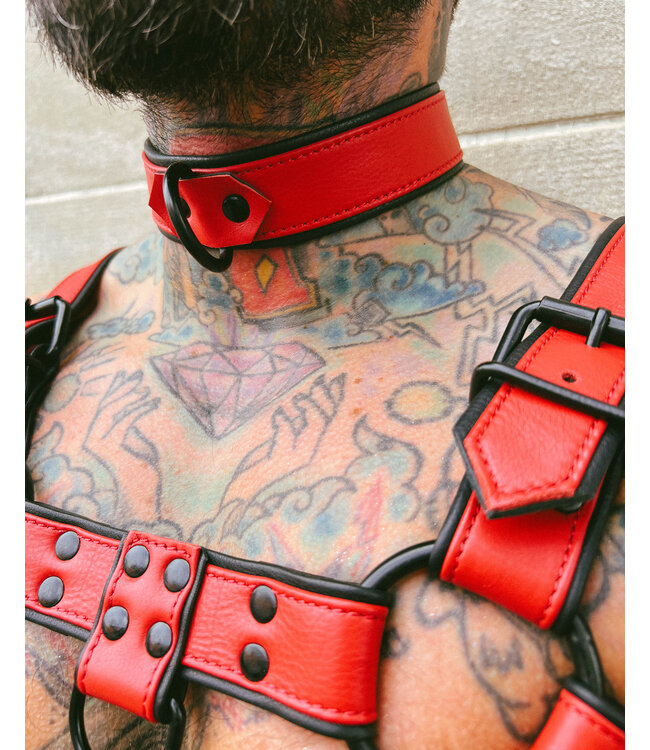 Bright Room Leather Collar