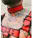 Bright Room Leather Collar