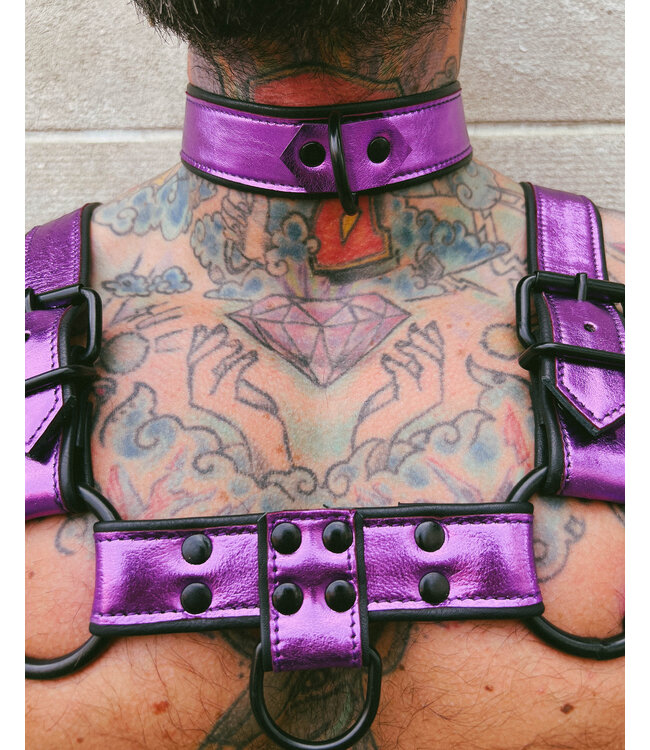 Bright Room Leather Collar