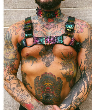 Spanked Pride Leather Harness