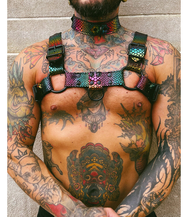 Pride Leather Harness