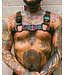 Pride Leather Harness