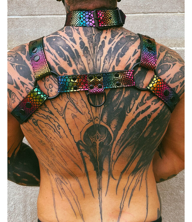 Pride Leather Harness