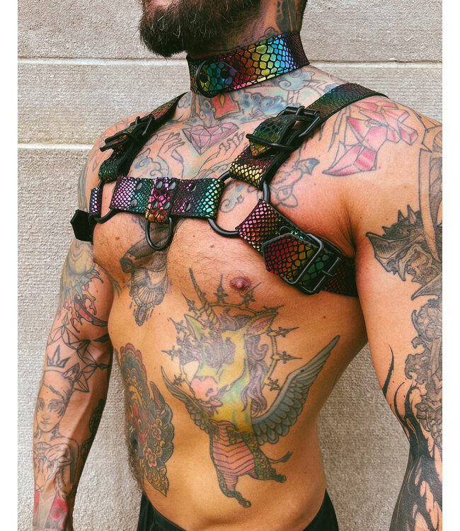 Pride Leather Harness