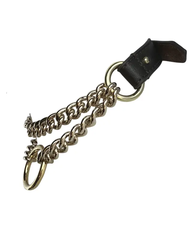 Chain O Choker | Gold BDSM Martingale Collar