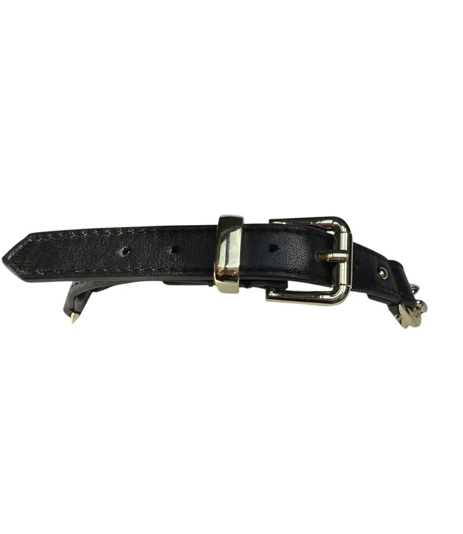 Chain O Choker | Gold BDSM Martingale Collar