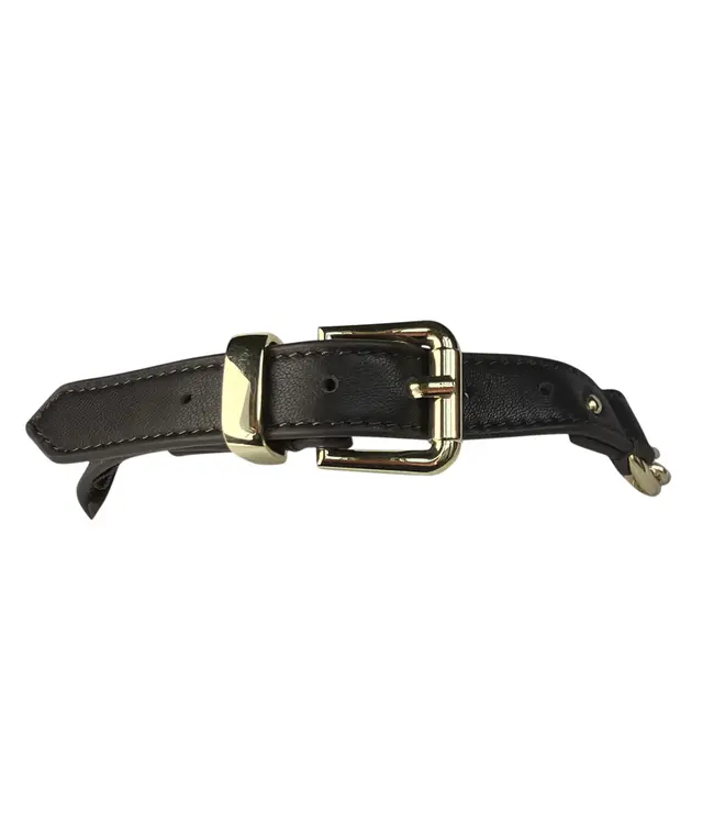 Chain O Choker | Gold BDSM Martingale Collar