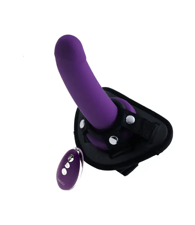Vibrating Dildo and a Strap-On Harness Kit