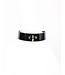 Rica Lead 24K Gold | Black Patent Leather Collar and leash
