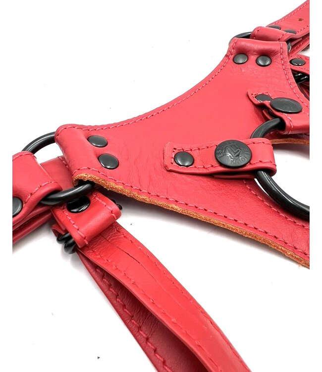 Leather Strapon Harnesses with Black Hardware