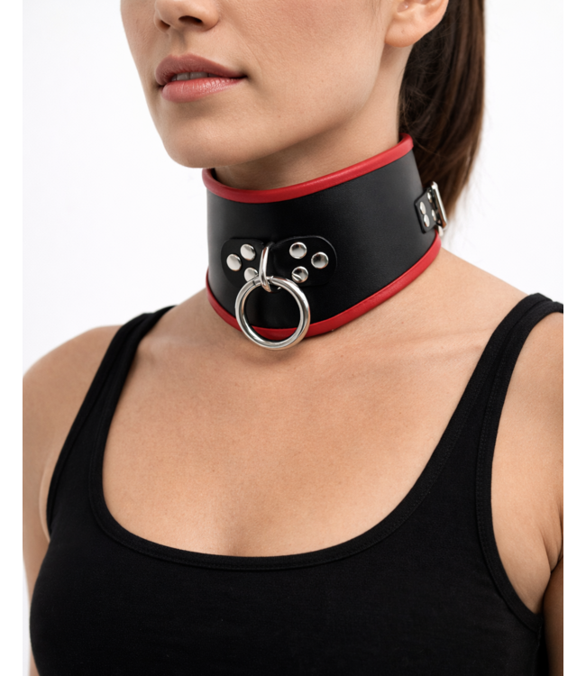 Leather Posture Collar with O-Ring