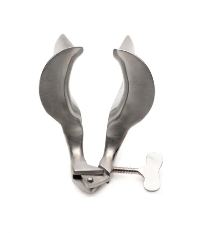 Collins Speculum