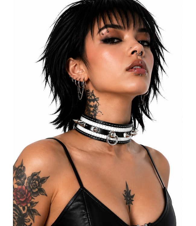 Post Ring And Spike Collar