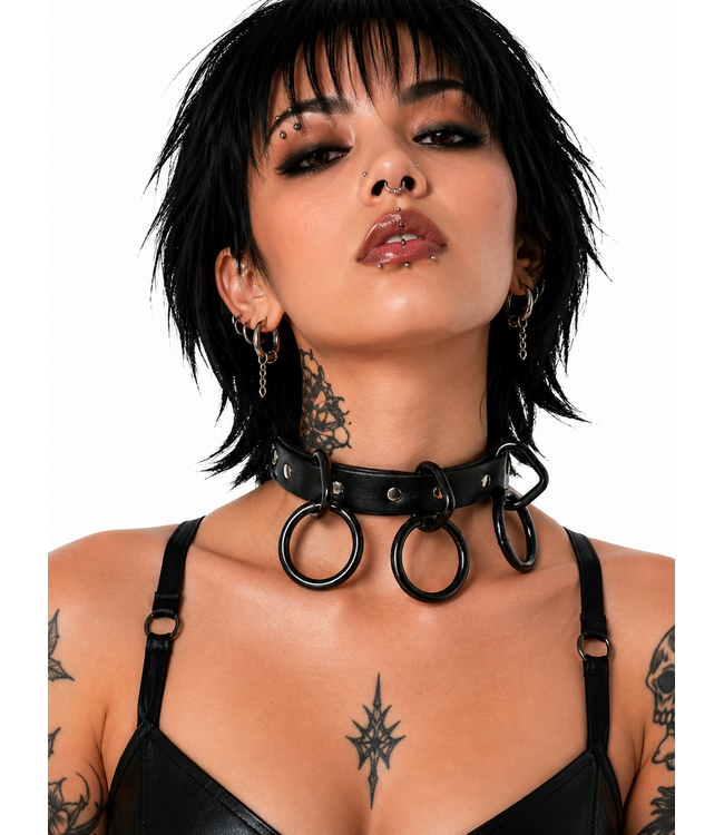 Collar w/3 loop and rings