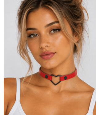 Funk Plus Heart Collar 1/2''