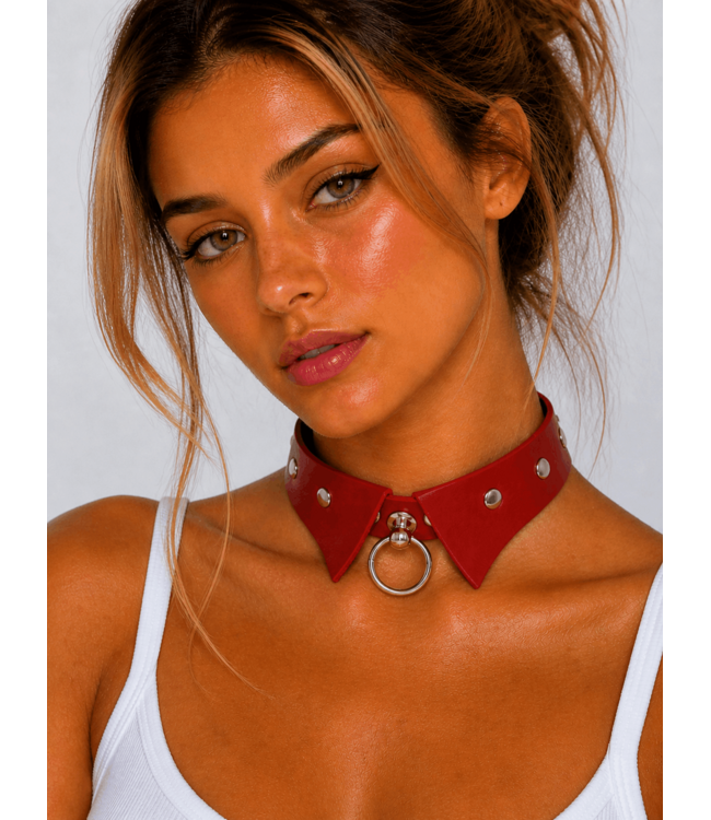 Professional submissive collar