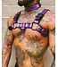 Bright Room Bulldog Leather Harness | Purple