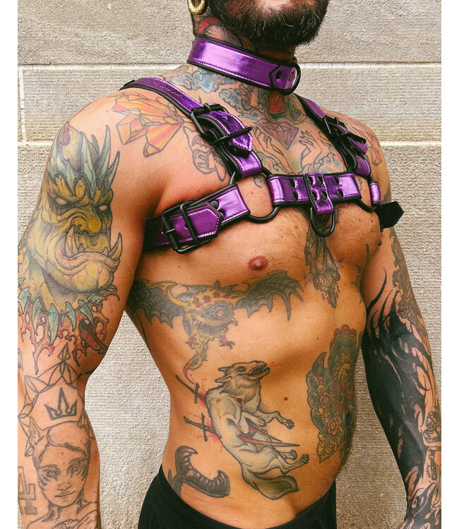 Bright Room Bulldog Leather Harness | Purple