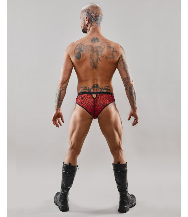 Red and Black Zebra brazilian briefs