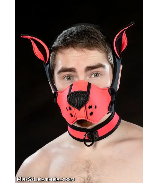 Neoprene K9 Muzzle and Ears Kit | Mr S Leather