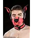 Neoprene K9 Muzzle and Ears Kit | Mr S Leather