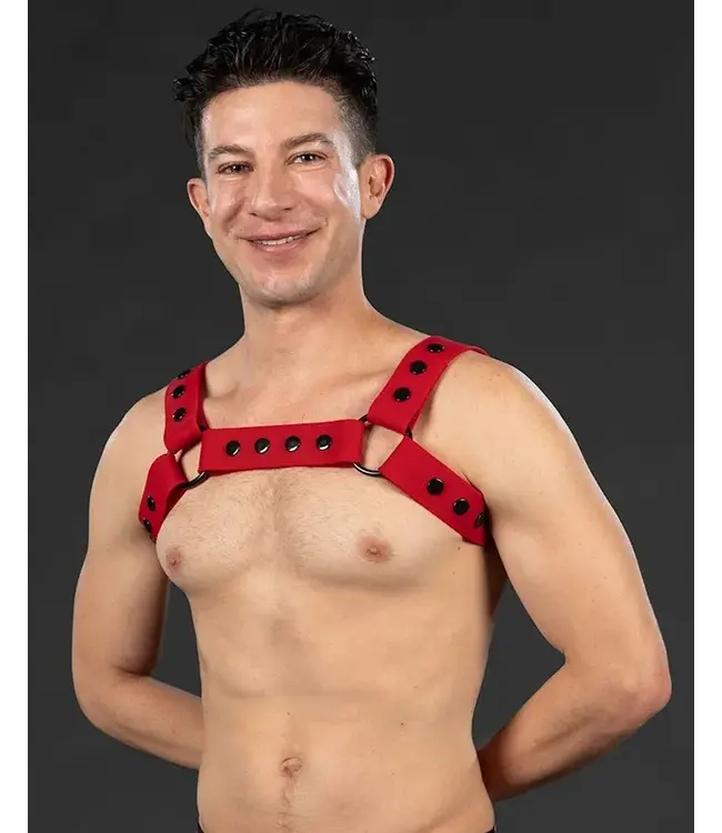 Slick Silicone Bulldog Harness | Mr S Leather