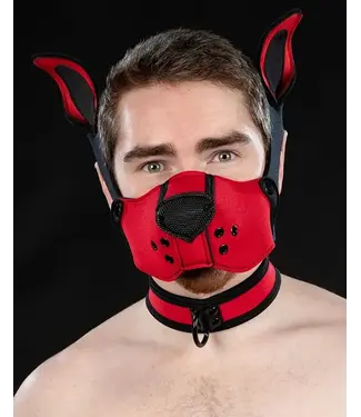 Mr. S Leather Neoprene K9 Muzzle and Ears Kit | Mr S Leather