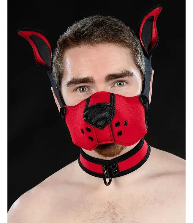 Neoprene K9 Muzzle and Ears Kit | Mr S Leather
