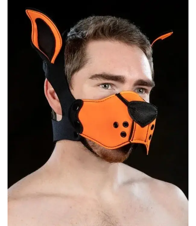 Neoprene K9 Muzzle and Ears Kit | Mr S Leather