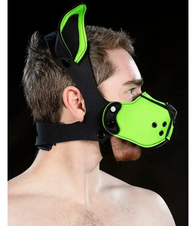 Neoprene K9 Muzzle and Ears Kit | Mr S Leather