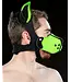 Neoprene K9 Muzzle and Ears Kit | Mr S Leather
