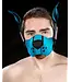 Neoprene K9 Muzzle and Ears Kit | Mr S Leather