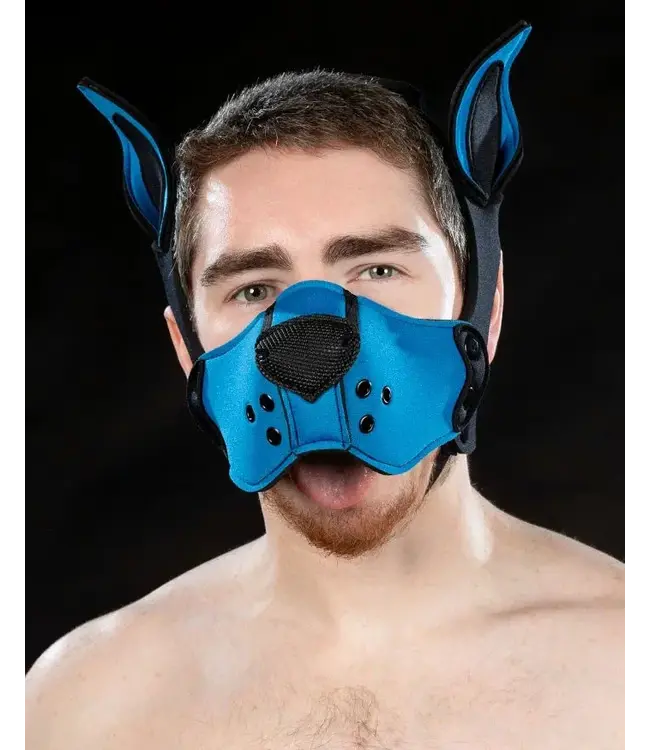 Neoprene K9 Muzzle and Ears Kit | Mr S Leather