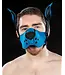 Neoprene K9 Muzzle and Ears Kit | Mr S Leather