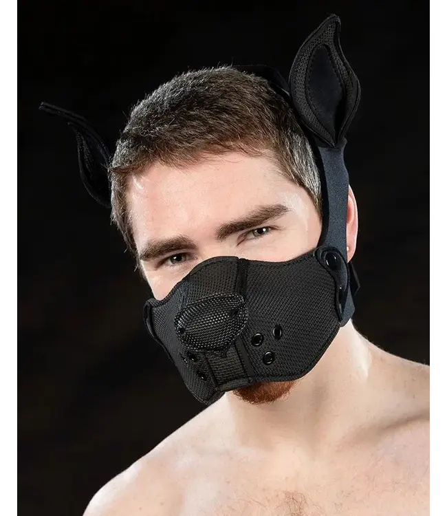 Neoprene K9 Muzzle and Ears Kit | Mr S Leather