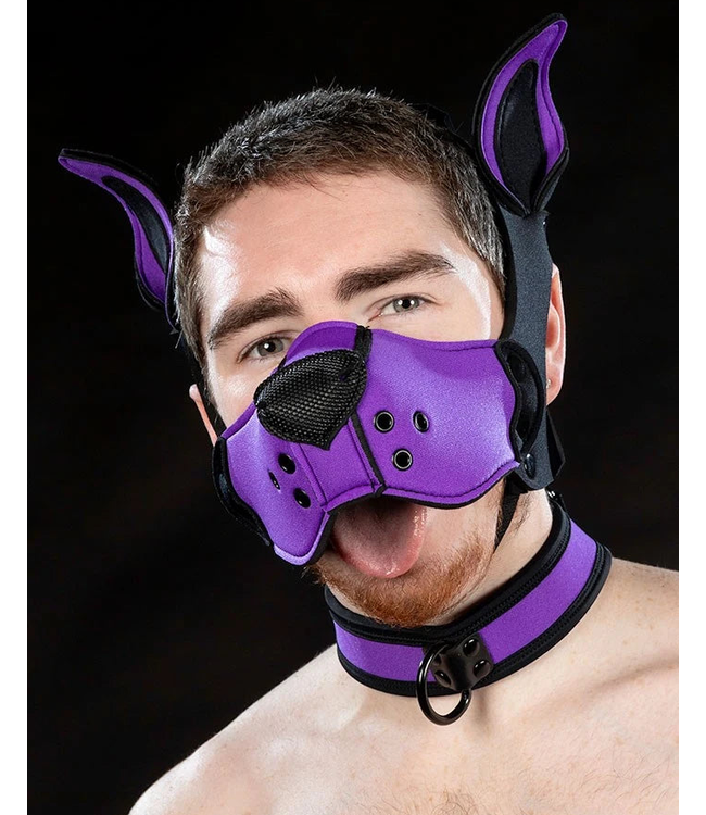 Neoprene K9 Muzzle and Ears Kit | Mr S Leather
