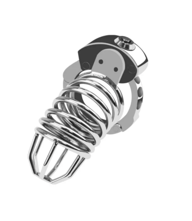 Metal Chastity Cage with an Adjustable Ring