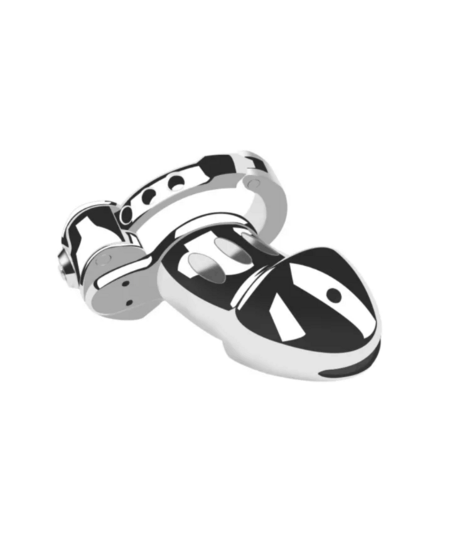 Shiny Male Chastity Cage