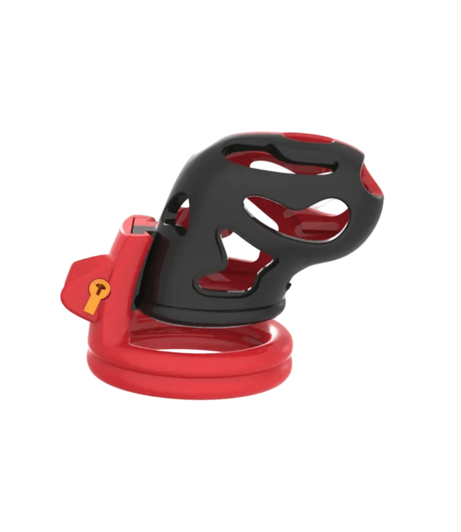 The Eagle Cock Chastity Cage