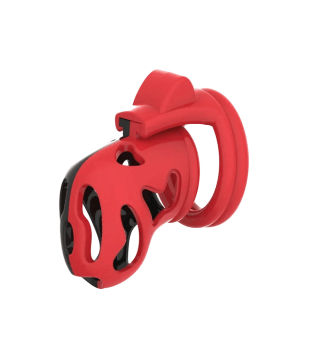 The Eagle Cock Chastity Cage