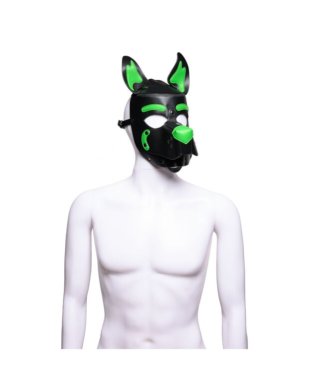 Pup Hood Vegan 2.0 Leather | 665 Leather