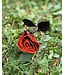 Leather Rose Flower | Kookie
