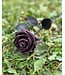 Leather Rose Flower | Kookie