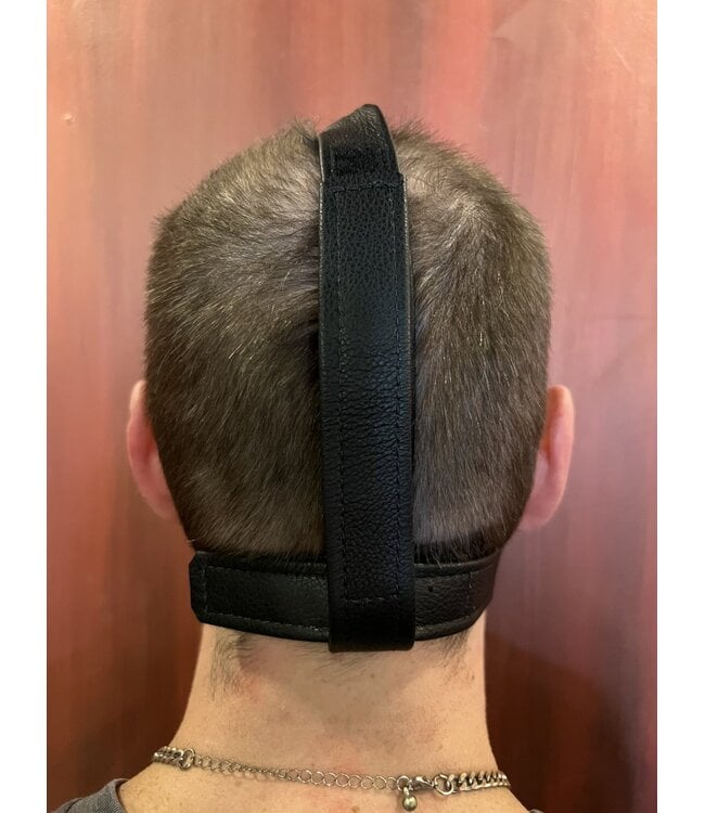 Chin Up Leather Head Harness | Aslan