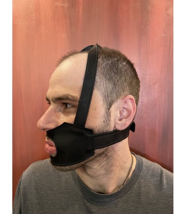 Chin Up Leather Head Harness | Aslan