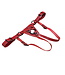 Secure Fit Strap On Leather Harness with Black Hardware