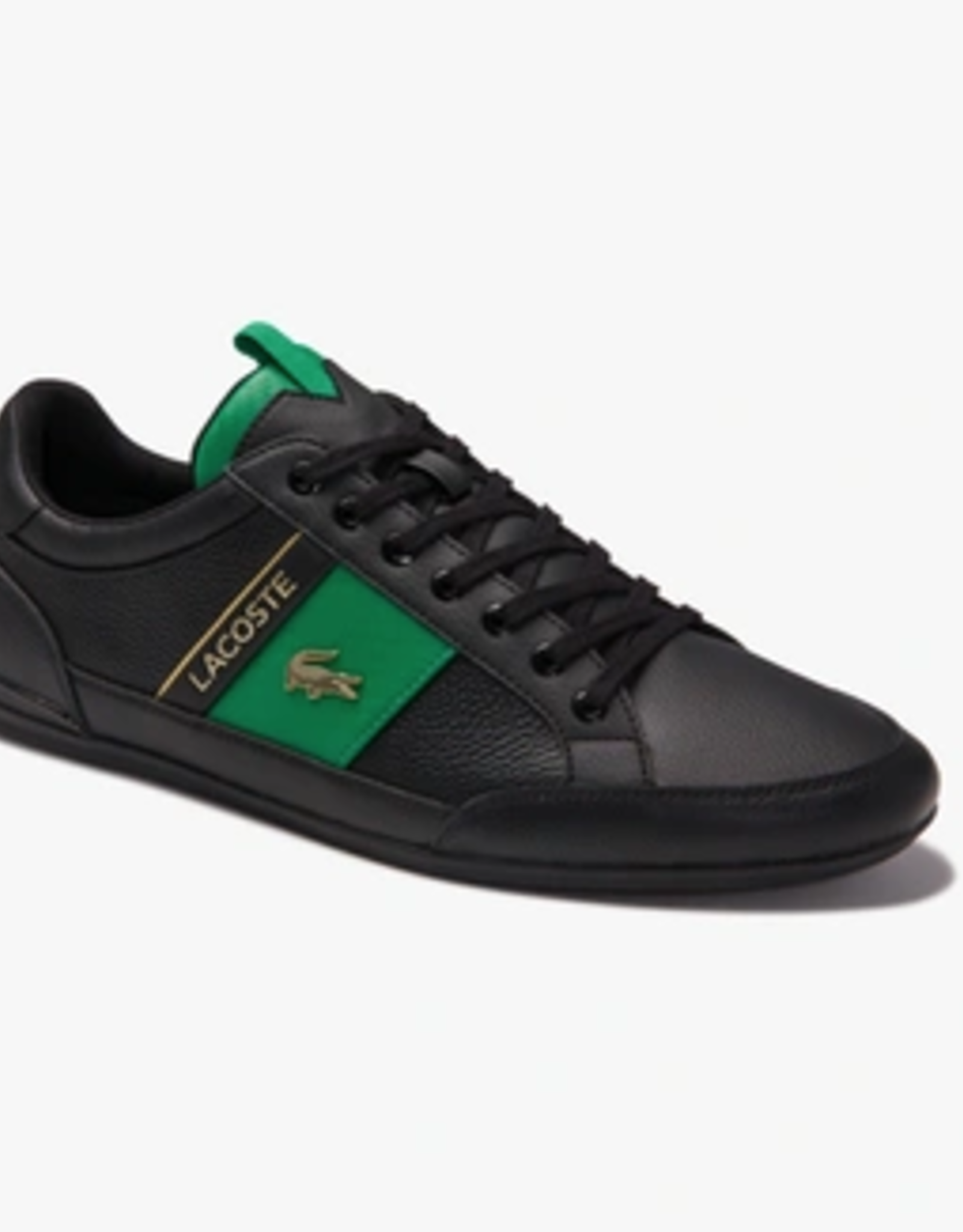 Lacoste L CHAYMON 0120 CMA LEATHER