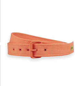 SS CANVAS TAPE BELT