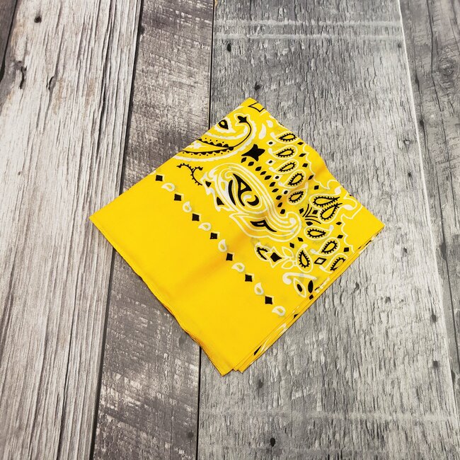 ROTHCO LIGHT COLOURED PAISLEY BANDANAS